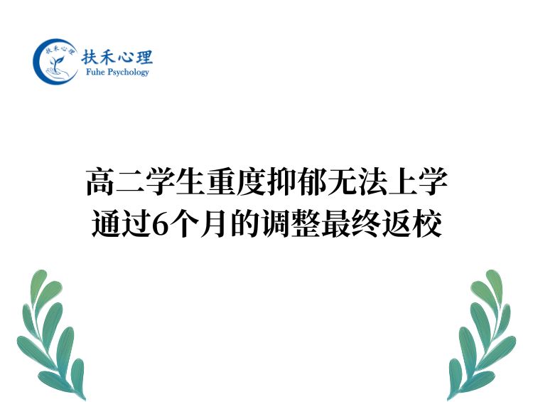 高二学生重度抑郁无法上学，通过6个月的调整最终返校