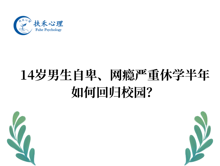 14岁男生自卑、网瘾严重、休学半年，如何回归校园？