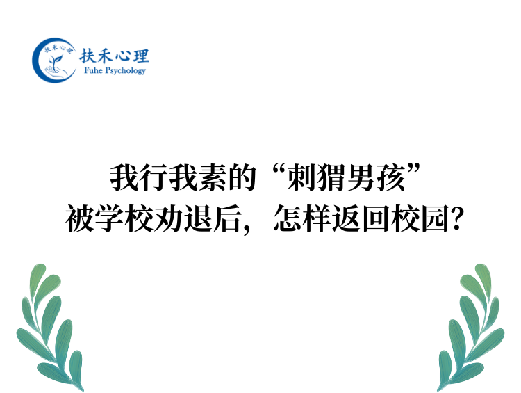 我行我素的“刺猬男孩”，被学校劝退后，怎样返回校园？