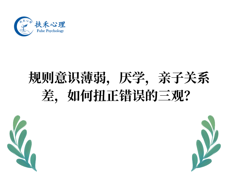 规则意识薄弱，厌学，亲子关系差，如何扭正错误的三观？