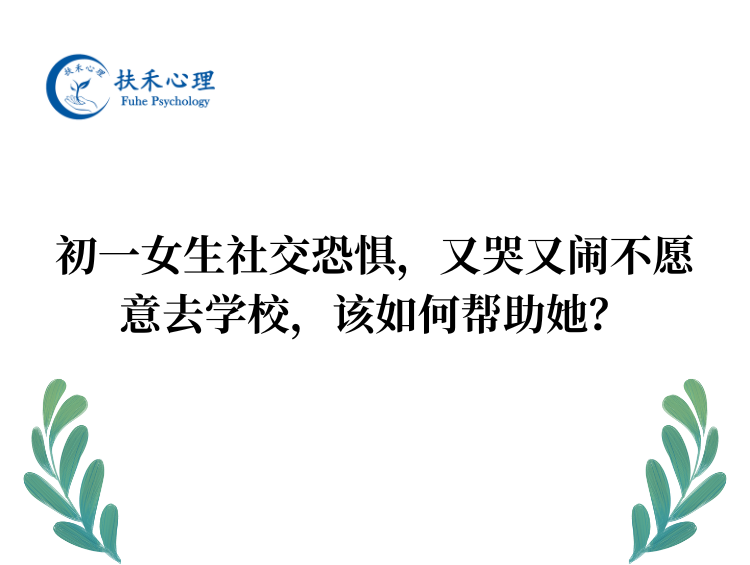 初一女生社交恐惧,又哭又闹不愿意去学校,该如何帮助她?