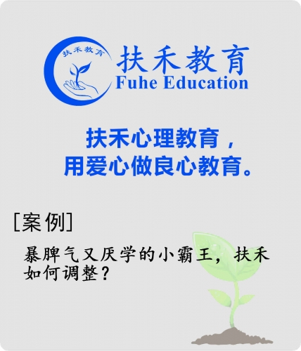 「案例」暴脾气又厌学的小霸王，扶禾如何调整？