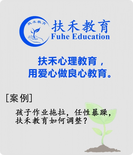 「案例」孩子作业拖拉，任性暴躁，扶禾教育如何调整？
