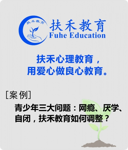 「案例」青少年三大问题：网瘾、厌学、自闭，扶禾教育如何调整？