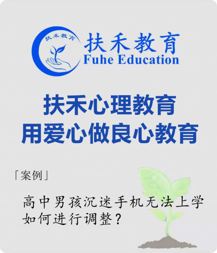 「案例」高中男孩沉迷手机无法上学，如何进行调整？