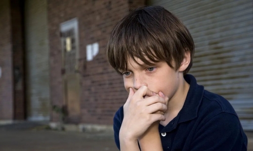 「扶禾心理案例」13岁男孩抑郁、休学，如何恢复动力、重回校园？