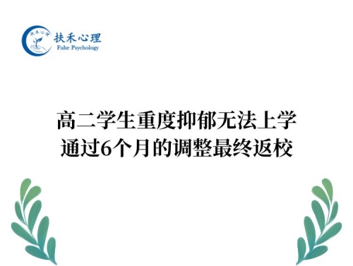 高二学生重度抑郁无法上学，通过6个月的调整最终返校