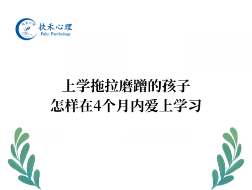上学拖拉磨蹭的孩子，怎样在4个月内爱上学习