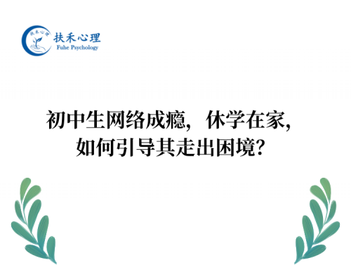 初中生网络成瘾，休学在家，如何引导其走出困境？