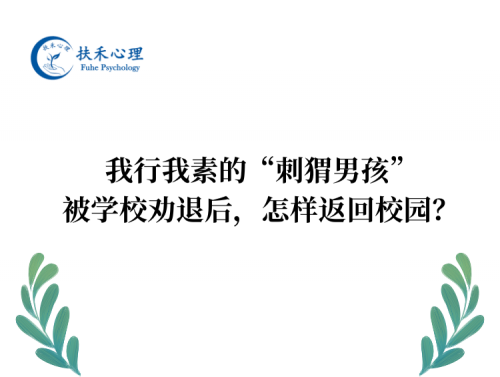 我行我素的“刺猬男孩”，被学校劝退后，怎样返回校园？