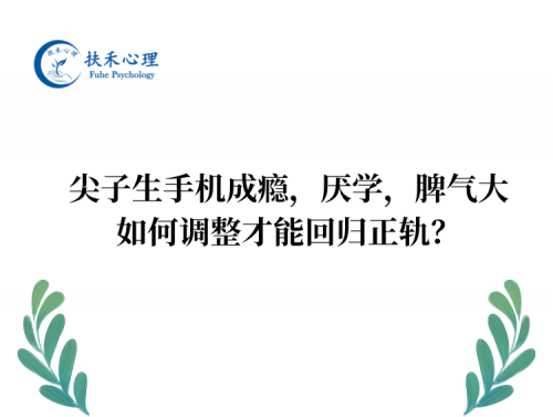 尖子生手机成瘾，厌学，脾气大，如何调整才能回归正轨？