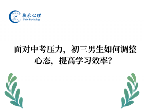面对中考压力，初三男生如何调整心态，提高学习效率？