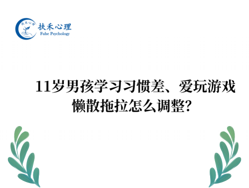 11岁男孩学习习惯差、爱玩游戏懒散拖拉怎么调整？