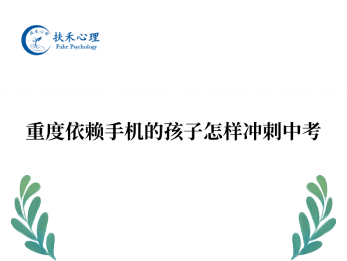 重度依赖手机的孩子怎样冲刺中考