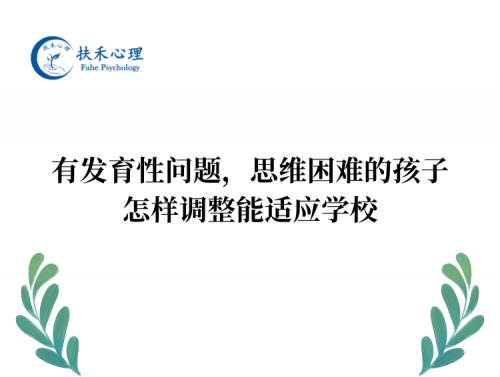 有发育性问题，思维困难的孩子，怎样调整能适应学校