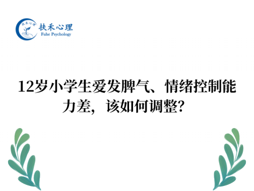 12岁小学生爱发脾气、情绪控制能力差，该如何调整？
