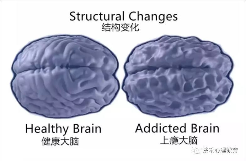 1653702701137313.png 微信图片_20220528095130.png